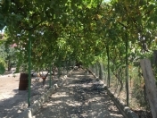 Satılır 1 otaqlı 3600 m2 obyekt Zabrat 1