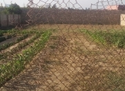 Satılır 14 sot torpaq Şüvəlan