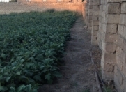 Satılır 12 sot torpaq Bilgəh