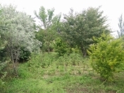 Satılır 24 sot torpaq Fatmayı