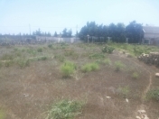 Satılır 12 sot torpaq Zirə