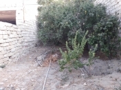 Satılır 3 sot torpaq Mərdəkan