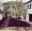 Satılır 6 otaqlı 350 m2 bağ evi Şamaxı