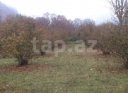 İcarəyə verilir 3 otaqlı 70 m2 həyət evi Qax