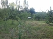 Satılır 20 sot torpaq Quba