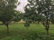 Satılır 10 sot torpaq Fatmayı