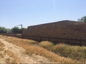 Satılır 30 sot torpaq Pirşağı