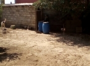 Satılır 2 sot torpaq Buzovna