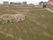 Satılır 17 sot torpaq Saray