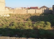 Satılır 6 sot torpaq Şağan