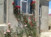 Satılır 4 otaqlı 100 m2 həyət evi Azadlıq meydanı