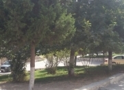 Satılır 2 otaqlı 44 m2 yeni tikili Çiçək