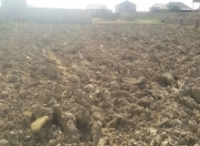 Satılır 10 sot torpaq Kürdəxanı