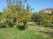 Satılır 12 sot torpaq Badamdar