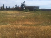 Satılır 12 sot torpaq Zirə