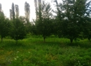 Satılır 6 sot torpaq Quba