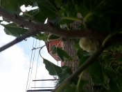 Satılır 3 otaqlı 60 m2 bağ evi Türkan