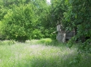 Satılır 24 sot torpaq İsmayıllı