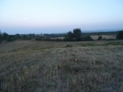 Satılır 125 sot torpaq Quba