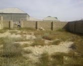 Satılır 10 sot torpaq Türkan