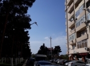 Satılır 2 otaqlı 100 m2 yeni tikili 20 yanvar m.