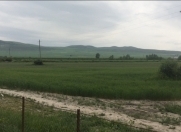 Satılır 1500 sot torpaq Oğuz