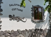 İcarəyə verilir 1 otaqlı 20 m2 bağ evi Zaqatala