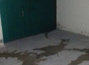 Satılır 4 otaqlı 115 m2 həyət evi Biləcəri