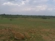 Satılır 3 sot torpaq Perekeşkül