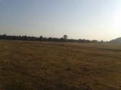 Satılır 34 sot torpaq İsmayıllı