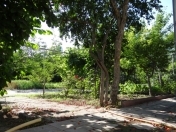 Satılır 8 sot torpaq Aygun City