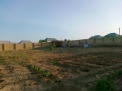 Satılır 7 sot torpaq Mehdiabad