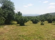 Satılır 18 sot torpaq Oğuz