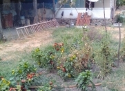 Satılır 2 otaqlı 42 m2 həyət evi Balakən