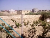 Satılır 3 sot torpaq Saray