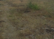 Satılır 10 sot torpaq 5 mkr