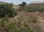 Satılır 22 sot torpaq Albalı