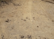 Satılır 6 sot torpaq Bahar