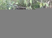 Satılır 24 sot torpaq Oğuz