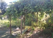 Satılır 15 sot torpaq Zabrat 1