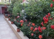 Satılır 9 otaqlı 250 m2 həyət evi Aygun City