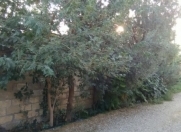 Satılır 2.4 sot torpaq 6 mkr