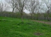 Satılır 12 sot torpaq Xızı