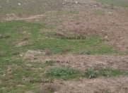 Satılır 5 sot torpaq Bilgəh