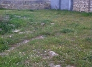 Satılır 3 sot torpaq Albalı