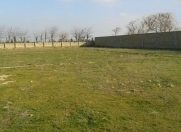 Satılır 50 sot torpaq Sulutəpə