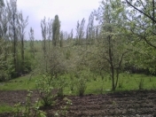 Satılır 25 sot torpaq Qusar