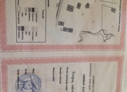 Satılır 6 sot torpaq Məhəmmədli