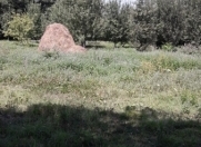 Satılır 20 sot torpaq Quba