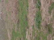 Satılır 3 sot torpaq Y.Ramana